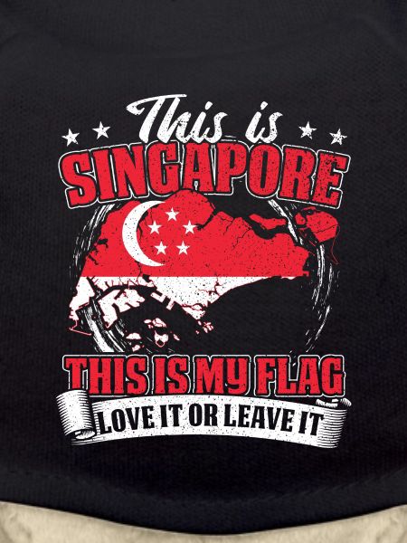 This Is Singapore