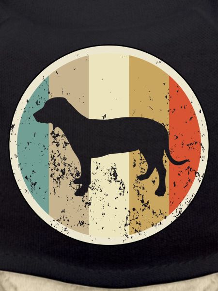 Deutsche Bracke Jagdhund