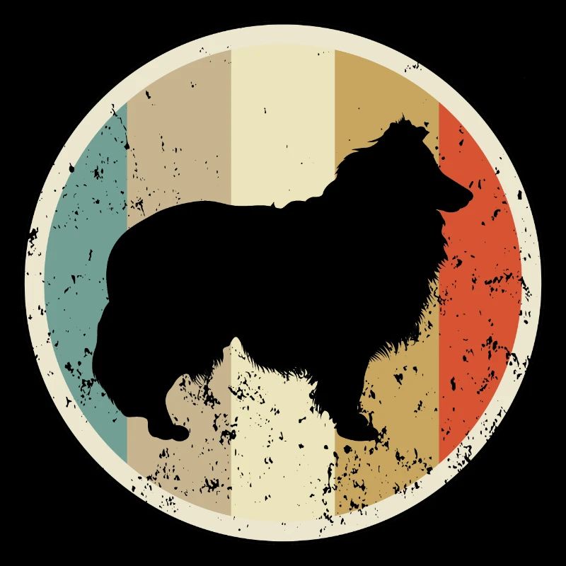 Shetland Sheepdog Sheltie