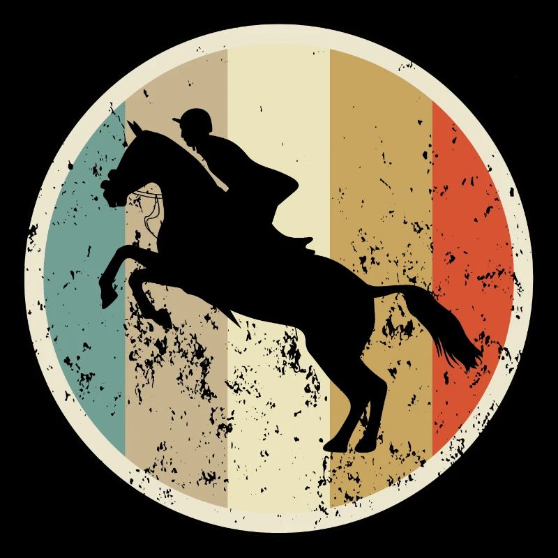 Springreiten Springreiter Springreiterin