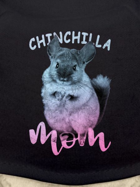 Chinchilla