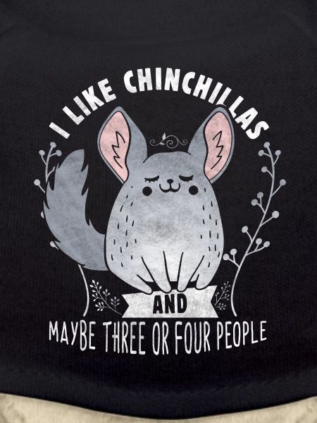 Chinchilla Funny Sayings