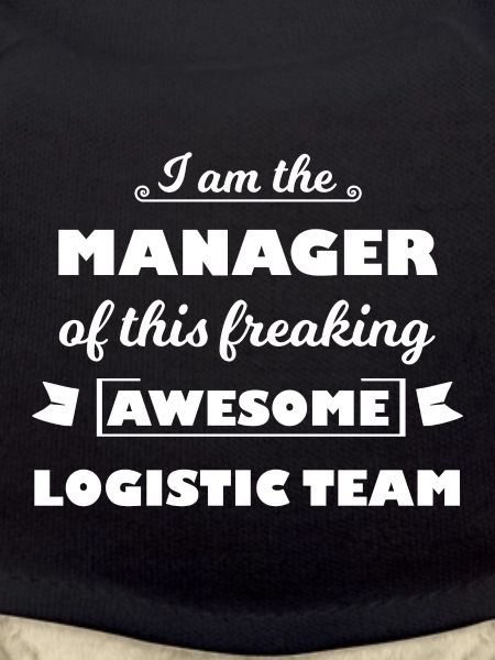 The Logistics Manager