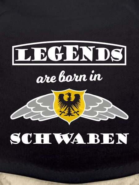 The power from Swabia