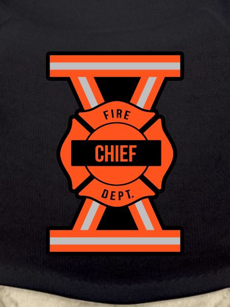 Fire Brigade Commander Ladder