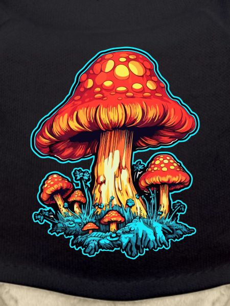 Toadstool Mushroom Mushroom Picker
