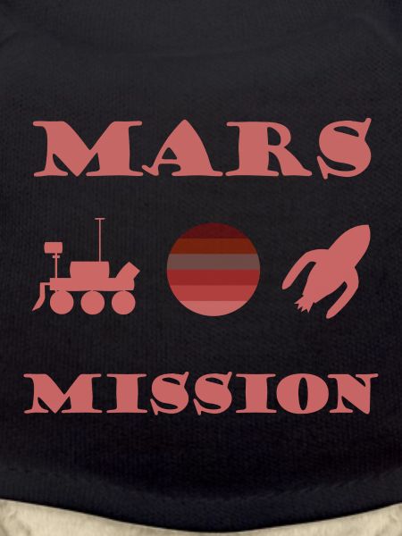 The expedition into space