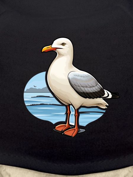 Möwe Seevogel