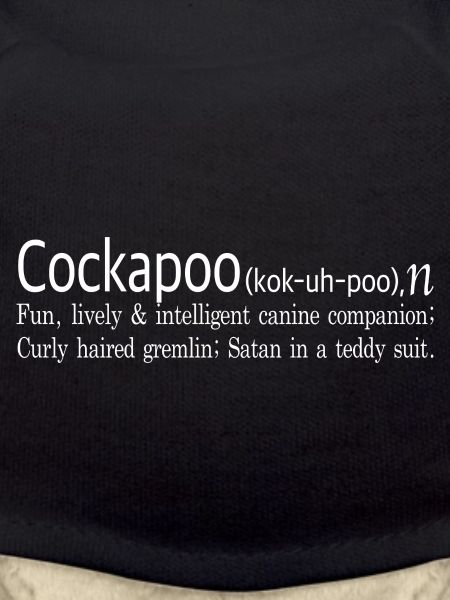 Cockapoo