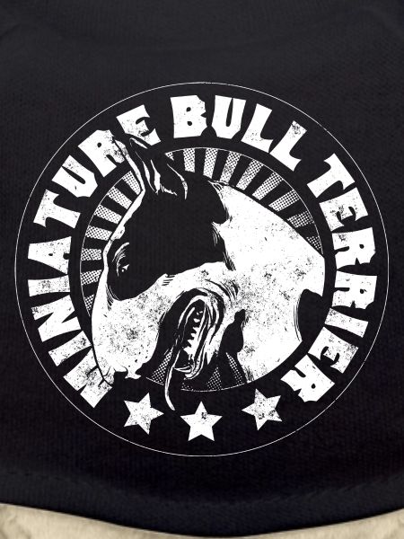 Miniature Bull Terrier