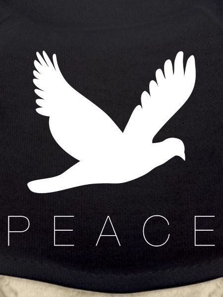 Dove peace