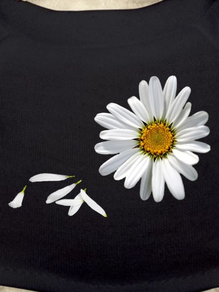 Marguerite