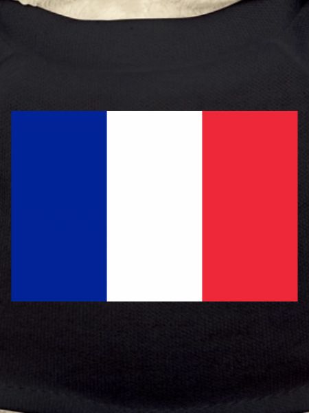 French flag original