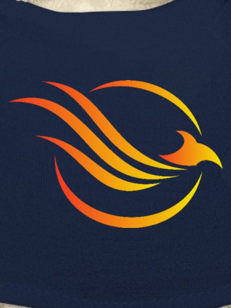 Team Phoenix