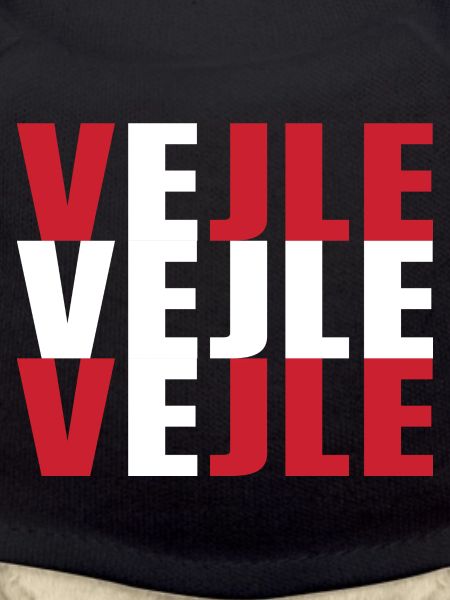Vejle Danemark Drapeau