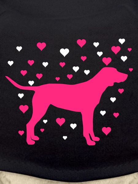Labrador