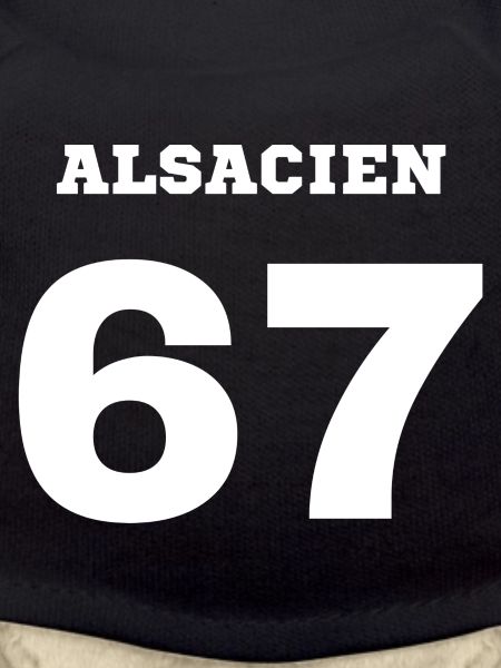 ALSATIAN of 67