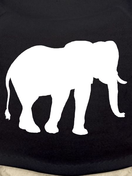 Éléphant d’Afrique
