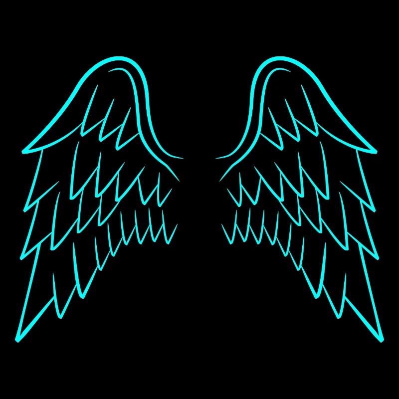 Ailes d'ange ailes