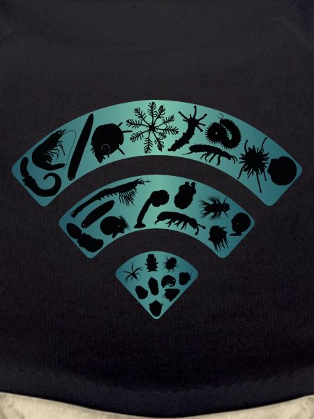 EvoDevo Signals