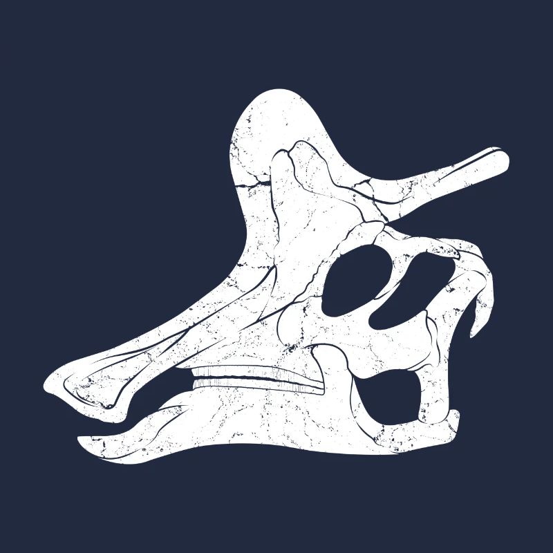 Lambeosaurus Fossilschädel