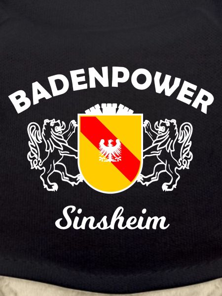The fans from Sinsheim
