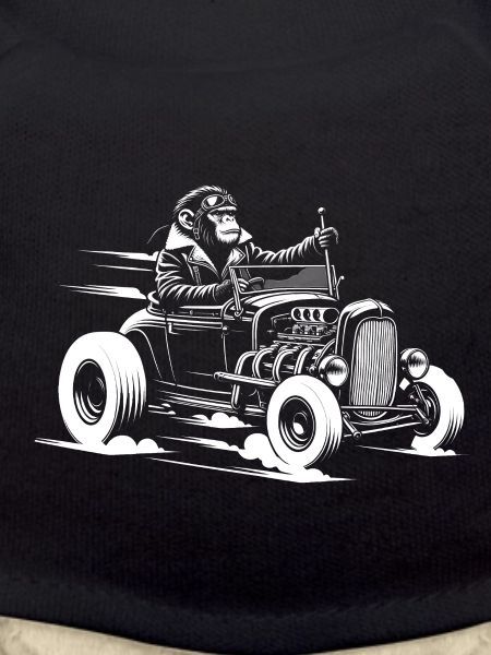 Monkey at the wheel