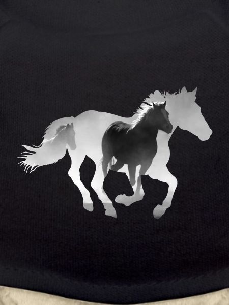 Horse gallop