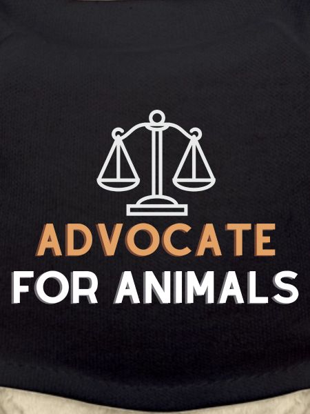 Advocate of animals