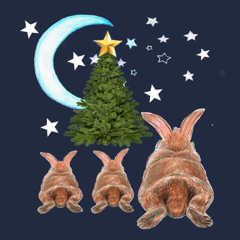 HASE , Noël
