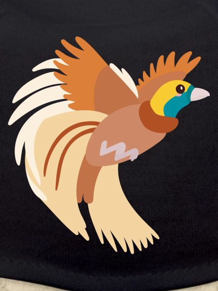 Paradiesvogel
