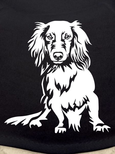 Dachshund "Black Edition"