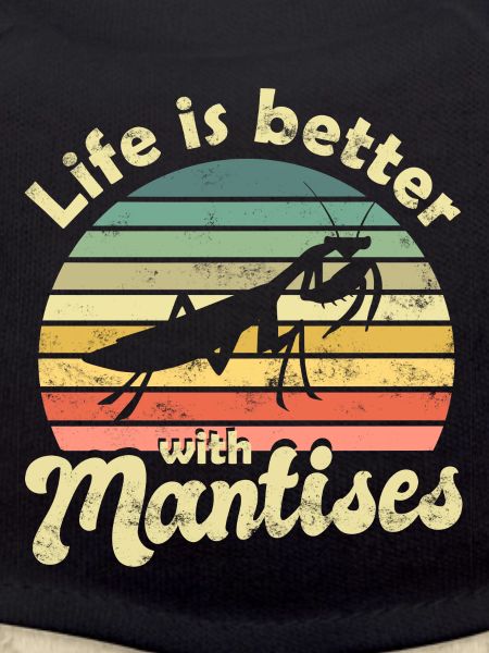 Praying mantis Mantis