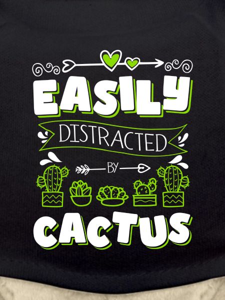 Cactus Spiny Mexico Gardener