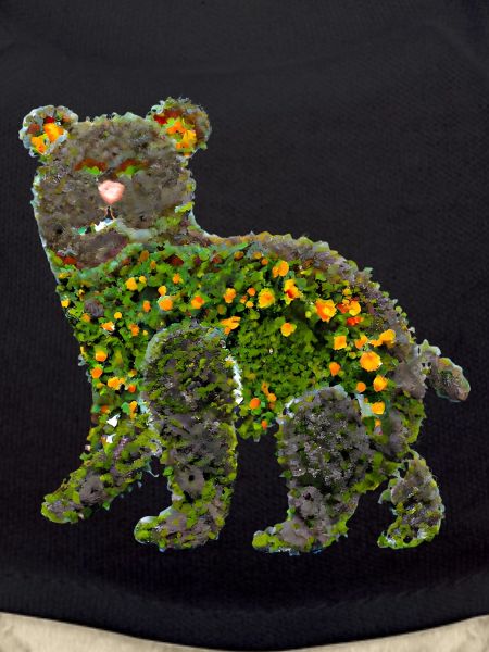Flower Bear Bear Flowers