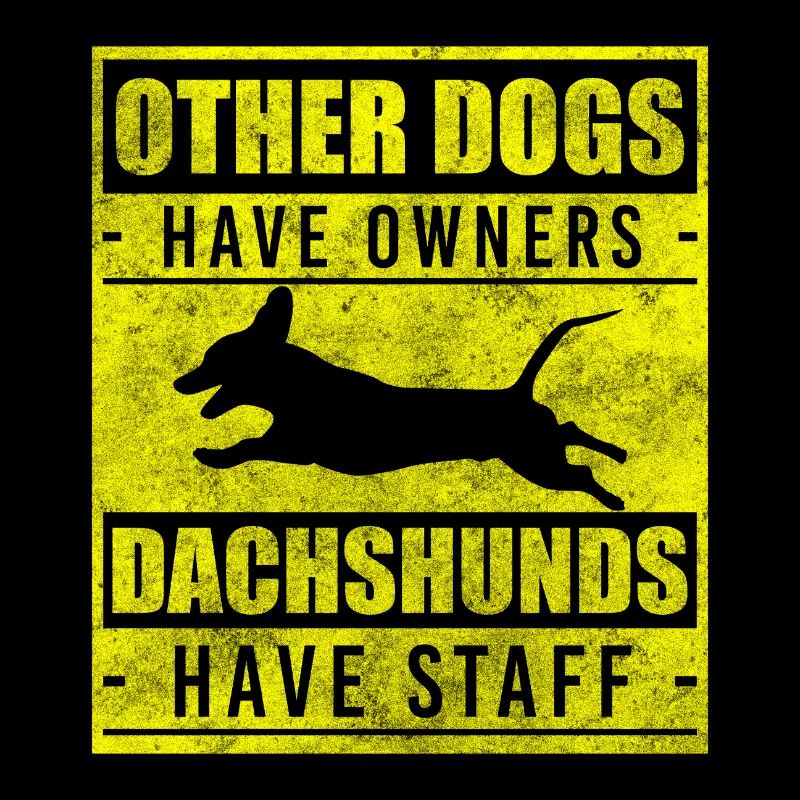 Teckel Dog Lover Chiot École de chiens