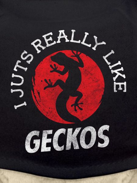 Geckos terraristics
