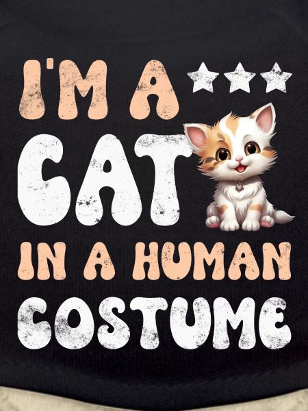 Katze Katzen