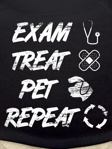 Pet Examine Treat