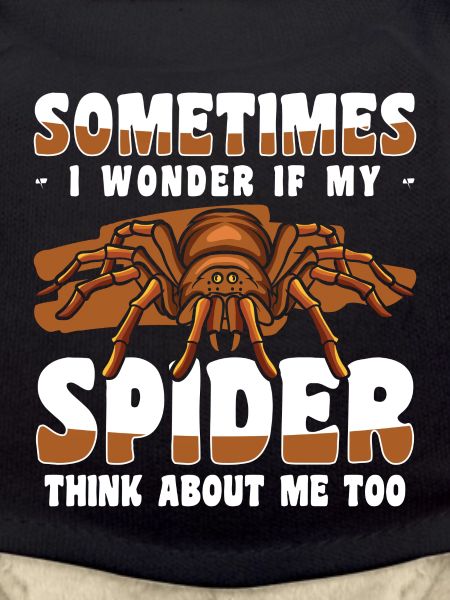 Spider Web Crawling