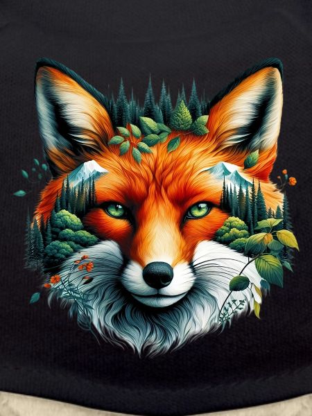 Renard