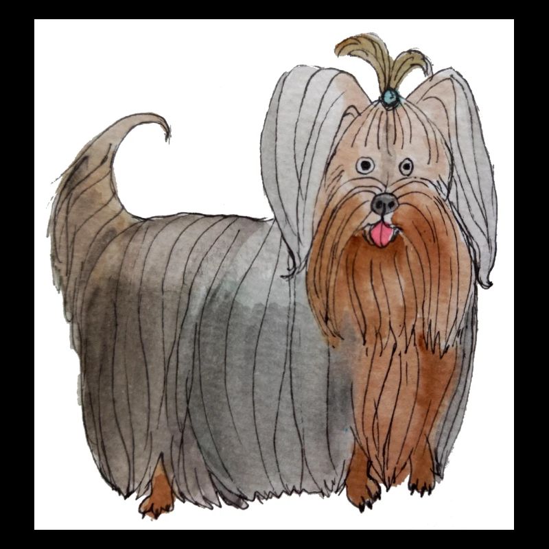 Yorkshire terrier Autocollant