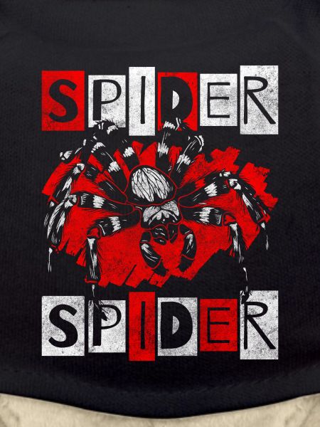 Spider's Web Prey Insect