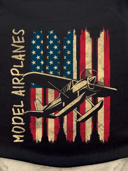 Model Airplane Aircraft
