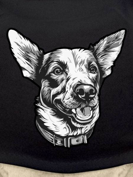 Hund Gassi Vierbeiner