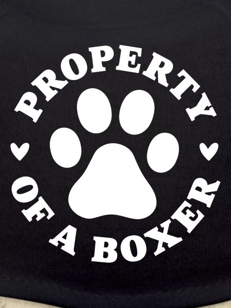 Property of a Boxer