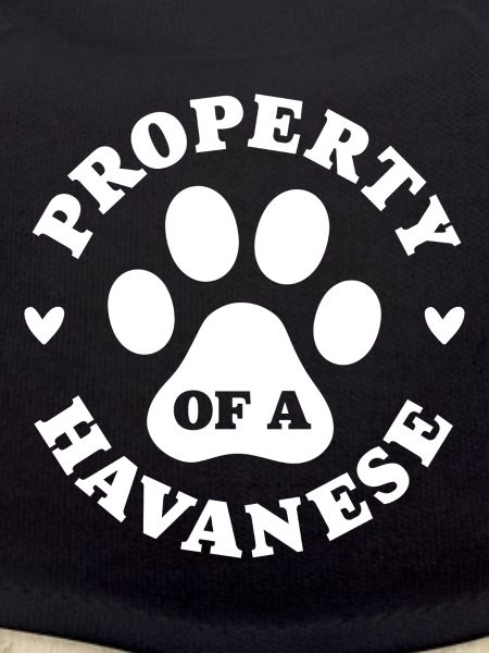 Property of a Havanese