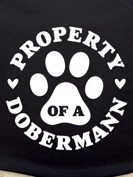 Eigentum eines Dobermanns