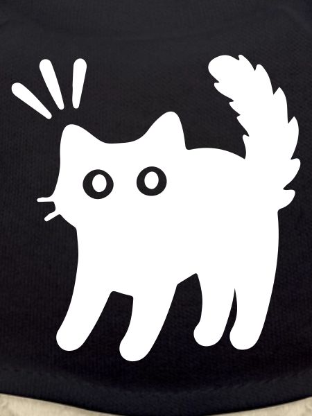 Kater Katze