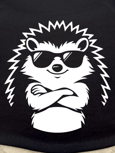 Cool hedgehog with sunglasses